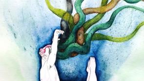 Clare Museum present new exhibition "centred in the unique soul of Clare"
