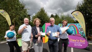 Gum Litter Taskforce roadshow stops off in County Clare during summer tour