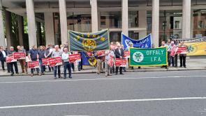 Clare TD 'very disappointed' with decision over nitrates directive