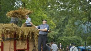 Traditional Harvest Day to make long-awaited return to Bunratty