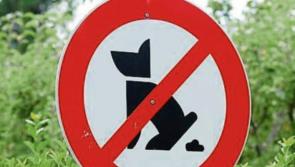 New dog foul and waste bin to erase litter 'black spot' at busy Clare bus stop