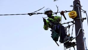 What the peck? Woodpeckers spark electricity outages
