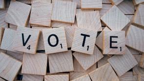 Funding to support participation of women and diversity in Clare for local elections
