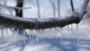 Met Éireann issues weather advisory for Clare with potential for severe frost in coming days