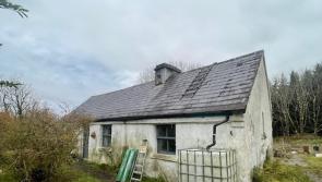 PICTURES: Clare cottage with bags of potential for sale for less than €100,000