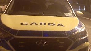 Private residence in Offaly targeted by Roscrea protesters