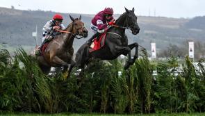 Big Cheltenham race could be cancelled amid brutal weather conditions