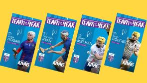 Four Clare hurlers named on Fitzgibbon Cup Team of the Year 