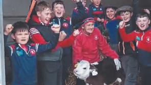 No bull as All-Ireland winning Clare hurler enters enemy territory for GAA preview night