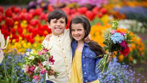 Clare exhibitors confirmed for Bord Bia Bloom 2024