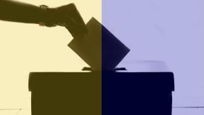 Elections 2024: Voting underway in Clare for local and European elections
