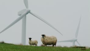 Permission refused for new windfarm at 'visually sensitive' location in west Clare
