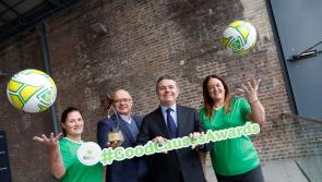 Clare groups announced as County Finalists in National Lottery Good Causes Awards  