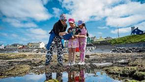 Pupils enjoy eco field trip to Lahinch for beach exploration workshop