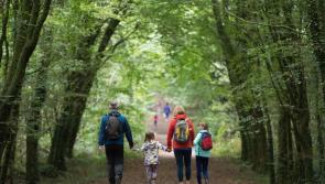 Busy Clare outdoor spaces to get spruced up with new 'enhancement' ideas