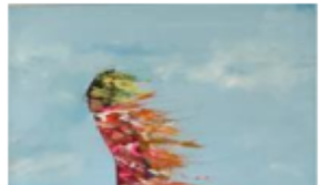 Clare community art group host free expo in local centre