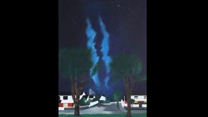 Free, all-age art and poetry expo by Clare-based artist to be held in local museum