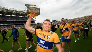 Seven Clare players named on The Sunday Game Hurling Team of the Year