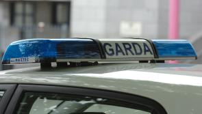 Gardai issue update on fatal road crash as driver is released without charge