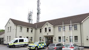 Grey Audi stolen during burglary in Clare town