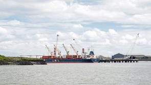 Government urged to progress plans to establish green energy hub on the Shannon Estuary 