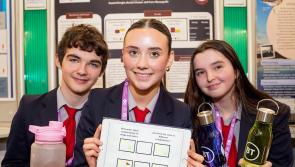 Projects from six Clare schools selected for  BT Young Scientist & Technology Exhibition