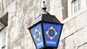 Man arrested following alleged assault on Roderic O'Gorman while on election canvass