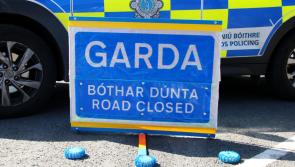 Widow of pensioner killed in Clare road crash tells court she is 'trapped in a nightmare'