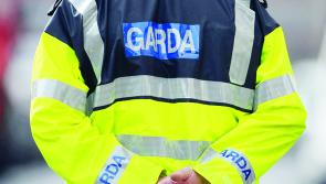 Garda&iacute; appeal for information following theft of number plates from vehicle in Ennis town