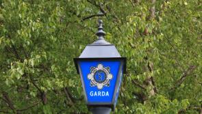 Clare gardai launch investigation after window of parked SUV is smashed