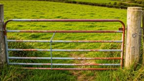 Investigation launched following theft of galvanised gate from lands in west Clare