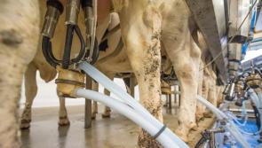 Clare farmers set to cross county boundary for Milk Producers' annual dinner dance 