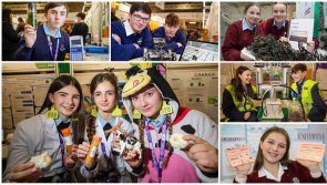 PICTURES: Clare students shine at  BT Young Scientist & Technology Exhibition
