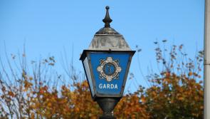 APPEAL: Witnesses sought by gardai after parked car is damaged in west Clare town