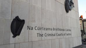 Prison sentence for fitness instructor who transported drugs worth &euro;4m in rental van