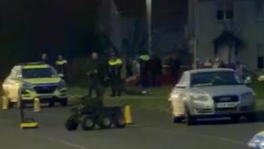 Investigation launched following  discovery of imitation grenade in Clare town