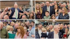 Clare TDs receive almost €17k in expenses for month in which Dáil sat for one day