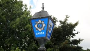 Unusual items stolen during burglary at property close to Clare town
