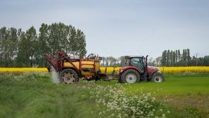 Over €70,000 in funding awarded to Clare agricultural shows for 2025
