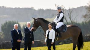Over €30,000 in breeding grants awarded to five Clare equestrian organisations 