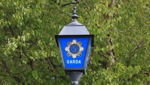ALERT: Gardai seek to locate car after gates to Clare property are damaged