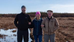 Rewetting of blanket bog in west Clare to provide wildlife sanctuary for rare habitats