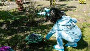Budget friendly ways to entertain your family this Easter break