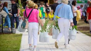 Popular Clare food business to take part in Bord Bia Bloom festival