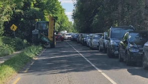 Several fines issued after 'obstruction to the flow of traffic' at Clare beauty spot