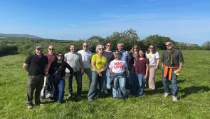 Belgian and Dutch tour operators discover the beauty of County Clare