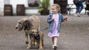 Don't miss it! Bunratty to host first-ever 'Bark in the Park' dog show 