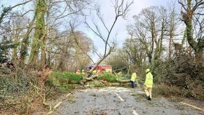 REVEALED: Nearly 4,000 Clare applicants make compensation claims following Storm Éowyn