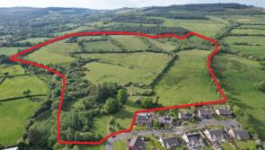 SOLD! Clare farm sells for 'well in excess' of advised minimum value at public auction