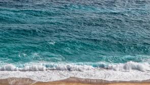 ALERT: Second Clare beach closes over elevated levels of bacteria